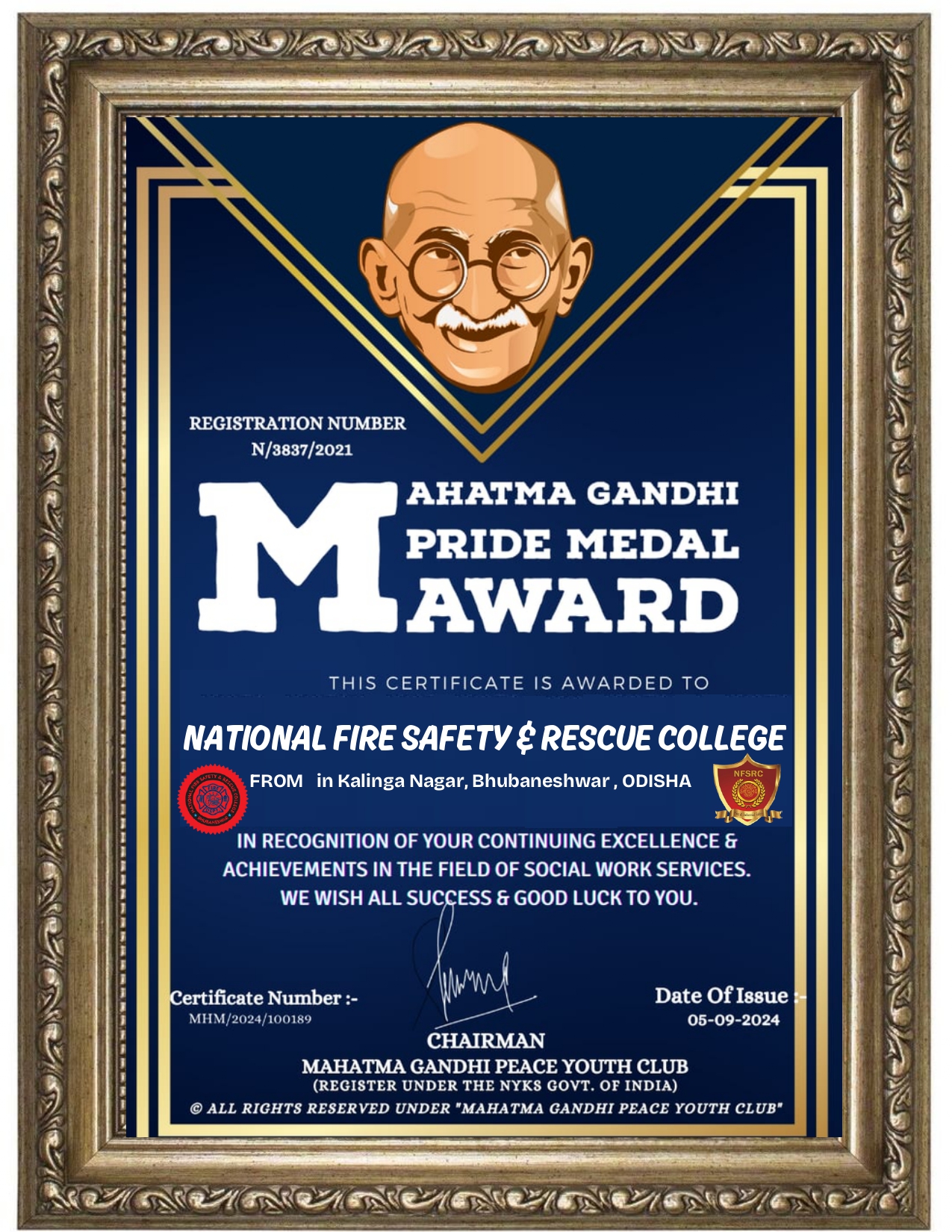 Mahatma Gandhi Pride Medal Award